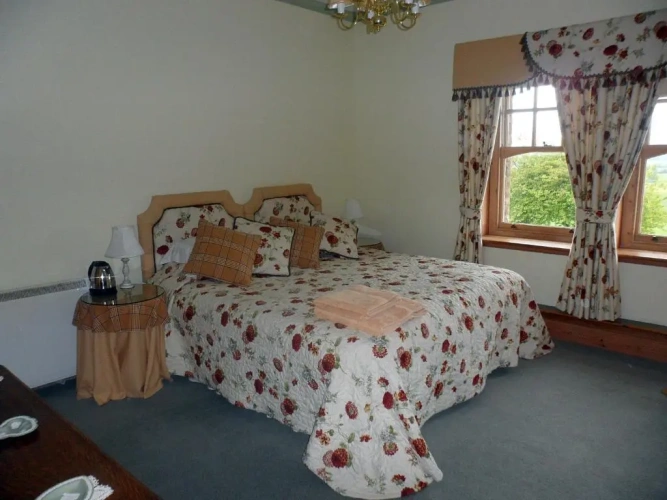 Deluxe Double room with view