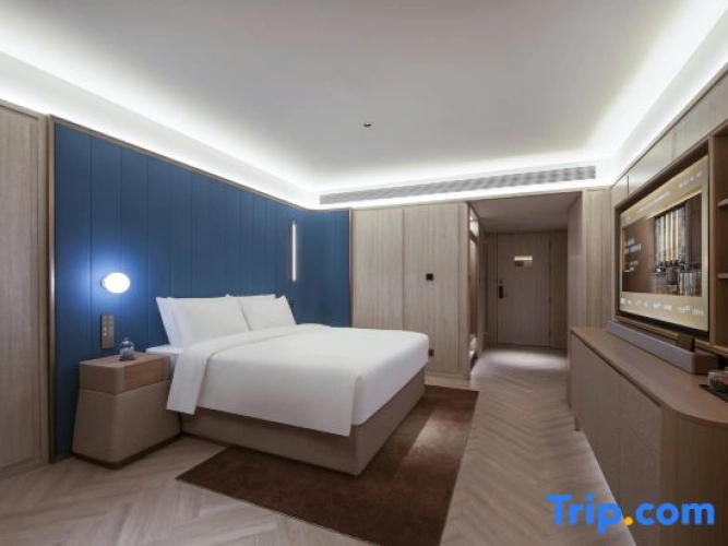 Business Double room with city view