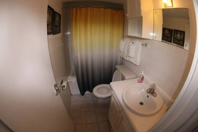 1 Bedroom Comfort Apartment
