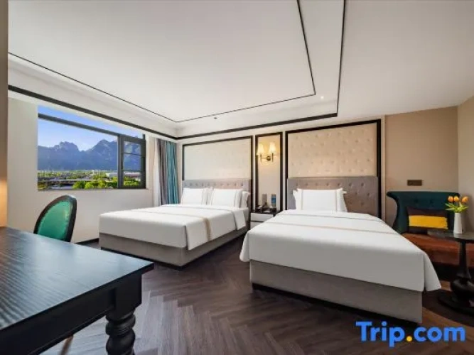 Deluxe Twin room with view