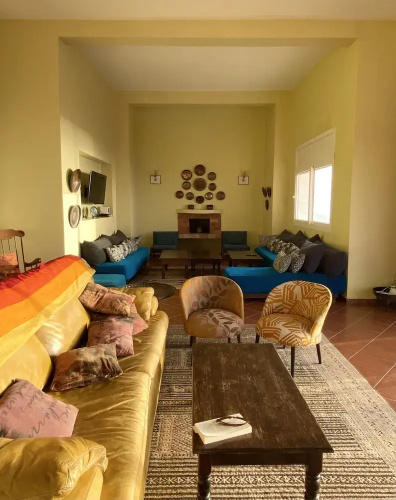 Daribis