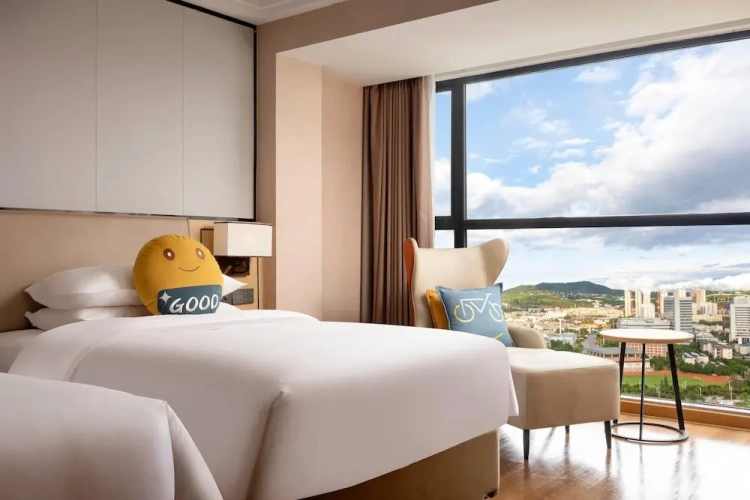 Deluxe Twin room with city view