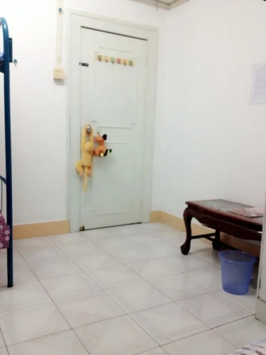 Cha Qing Youth Hostel