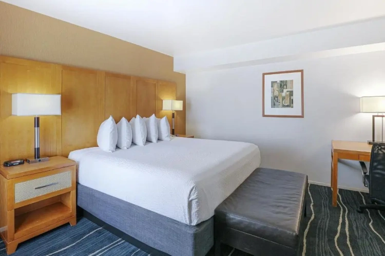 2 Bedrooms Suite