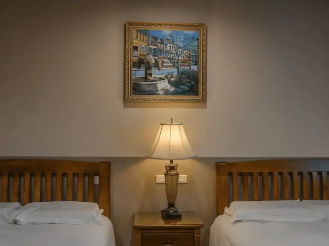 Standard Double room with courtyard view