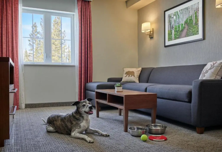 Residence Inn by Marriott Breckenridge