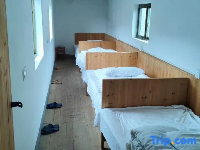 Bed in Dorm