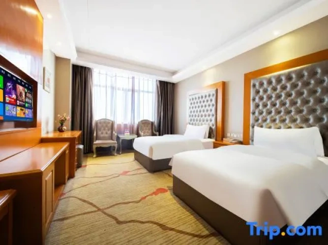 Deluxe Twin Family room