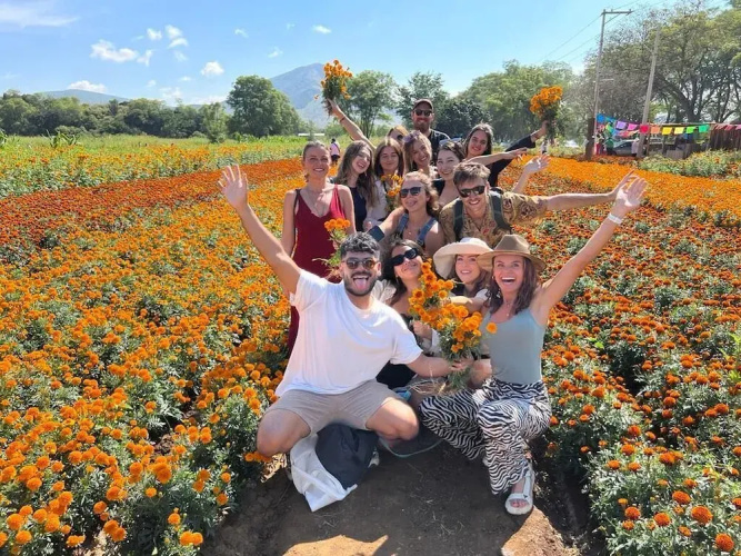 Co404 Oaxaca