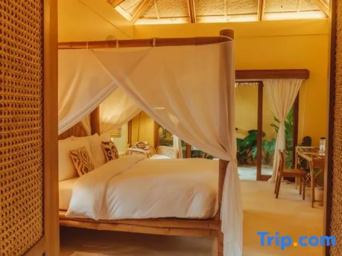 Double Suite with pool view