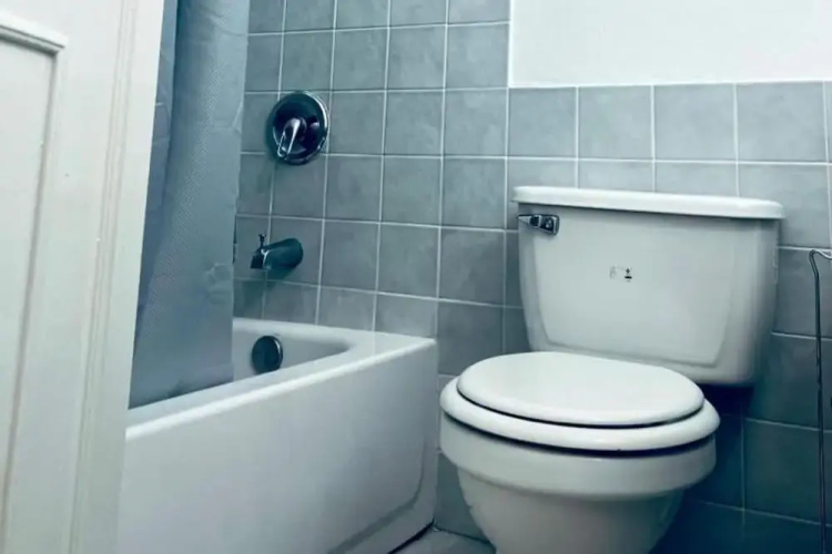 Cozy Central 1-bed Apartment in Kingston