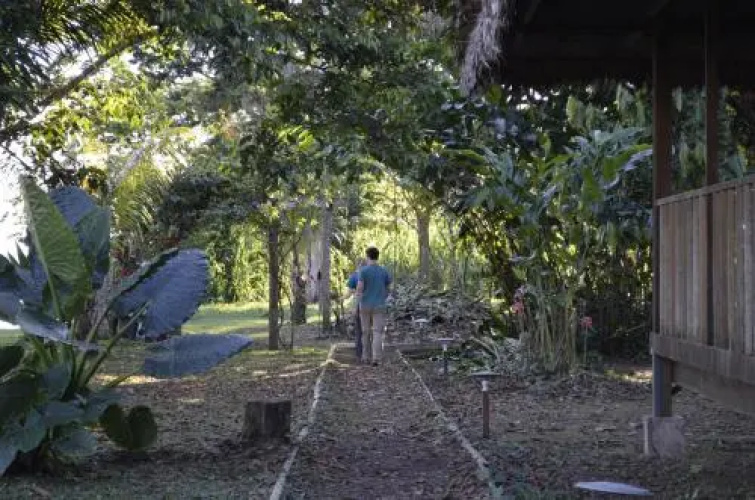 Green Diamond Amazon Lodge