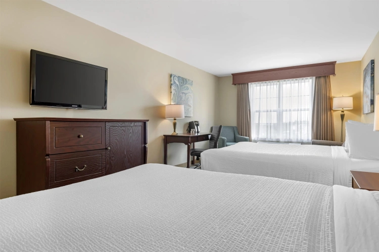 Quadruple Suite