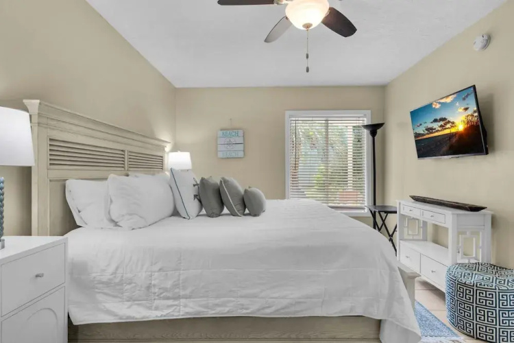 Sand Dollar W-101