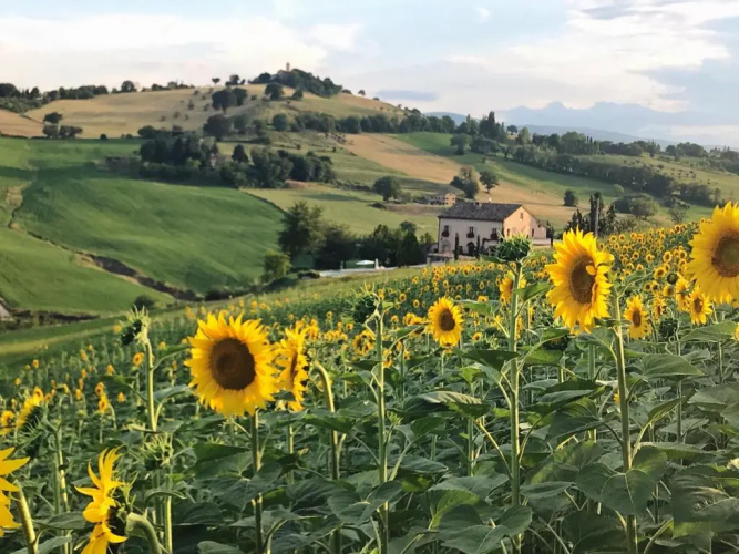 Casale delle Rondini
