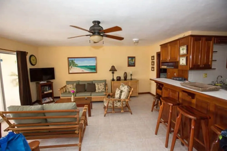 1 Bedroom Suite oceanfront