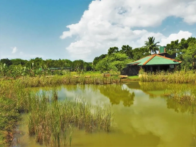 Bungalow