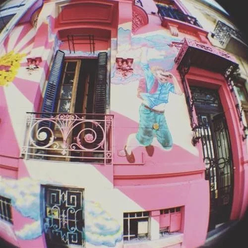 The Pink House