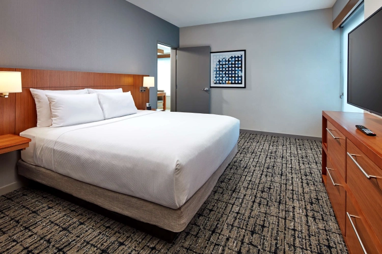 1 Bedroom Double Suite (with Sofa Bed)