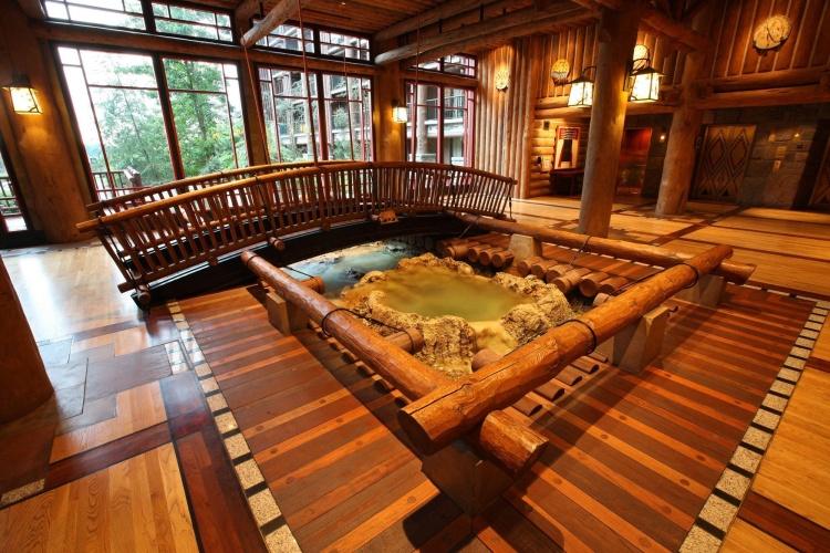 Disney's Wilderness Lodge photo 21