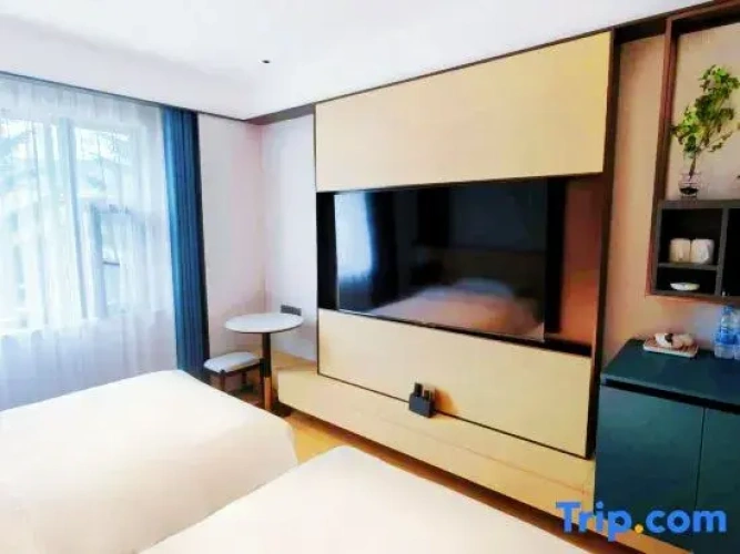 Premium Twin Suite