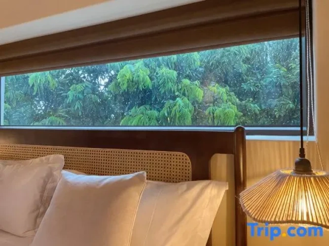 Standard Double room with garden view