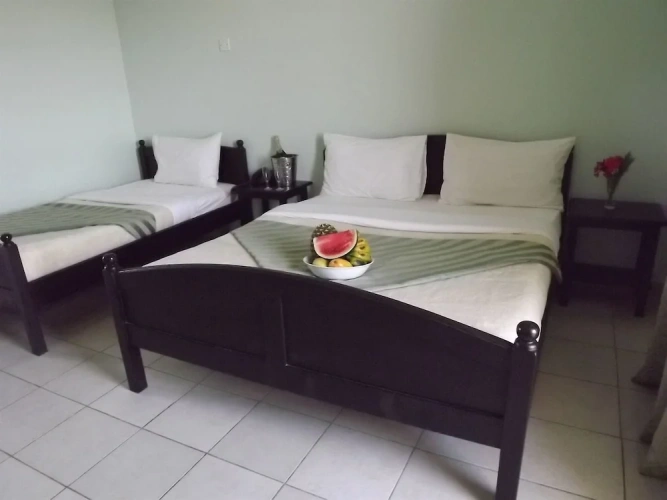 Standard Single room with sea view