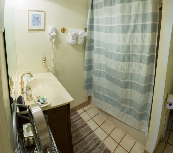 Classic Double room with courtyard view