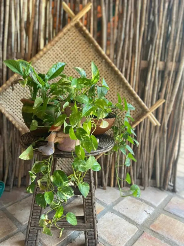 Pousada Ricatins