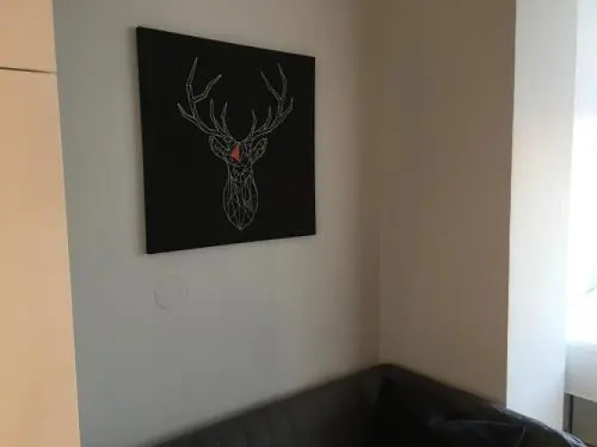 Invicta House Serpa Pinto
