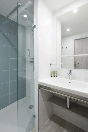 Superior Twin room with park view