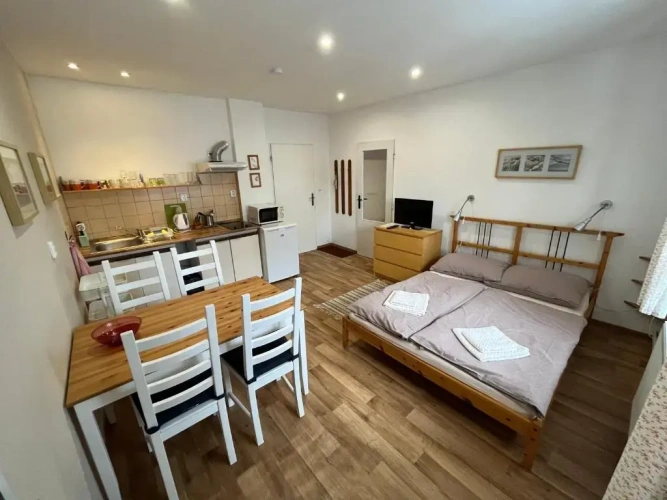 1 Bedroom Apartment
