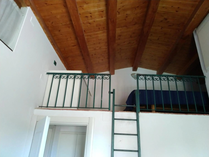 Olivella Suite