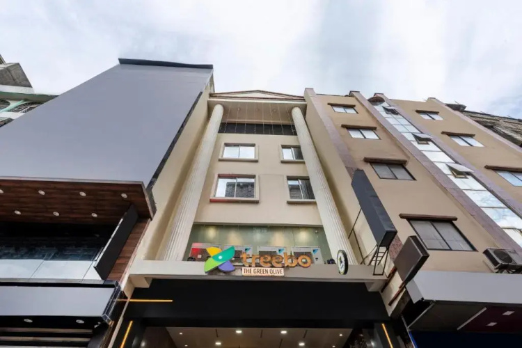 Treebo Green Olive - Rourkela