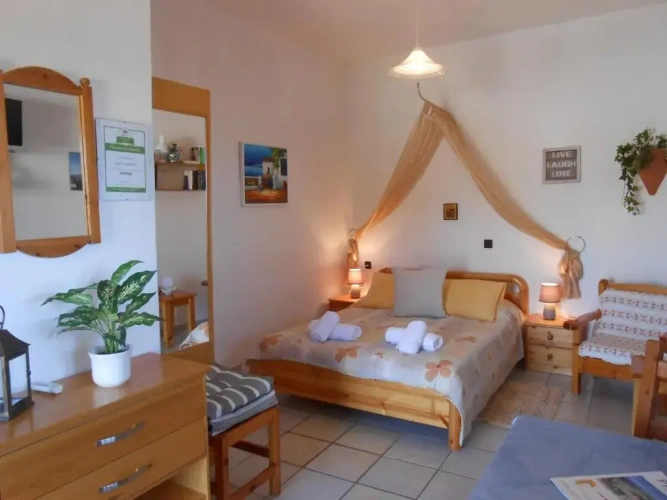 Basement Studio with garden view