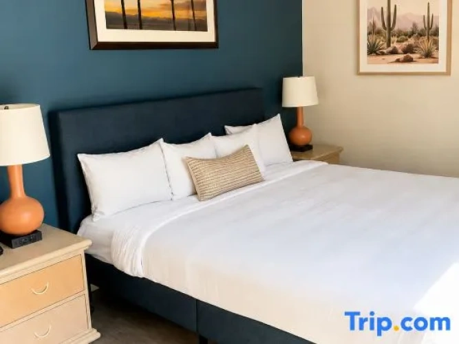 1 Bedroom Executive Suite