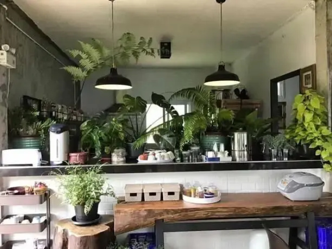 Phongtang garden Hill Homestay