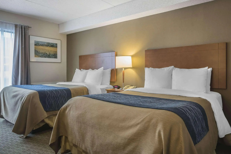 Comfort Inn