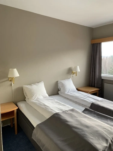 Standard Double room with garden view