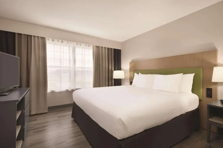 1 Bedroom Suite