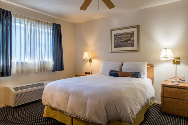 1 Bedroom Executive Suite