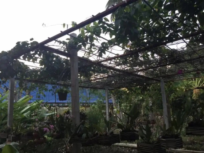 Kruamaeurai Homestay