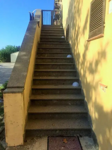 La casa delle rondini