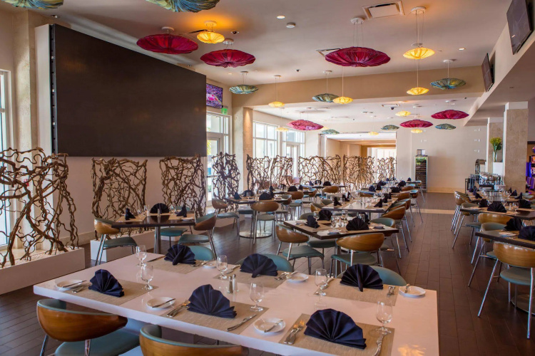 Hilton at Resorts World Bimini photo 17