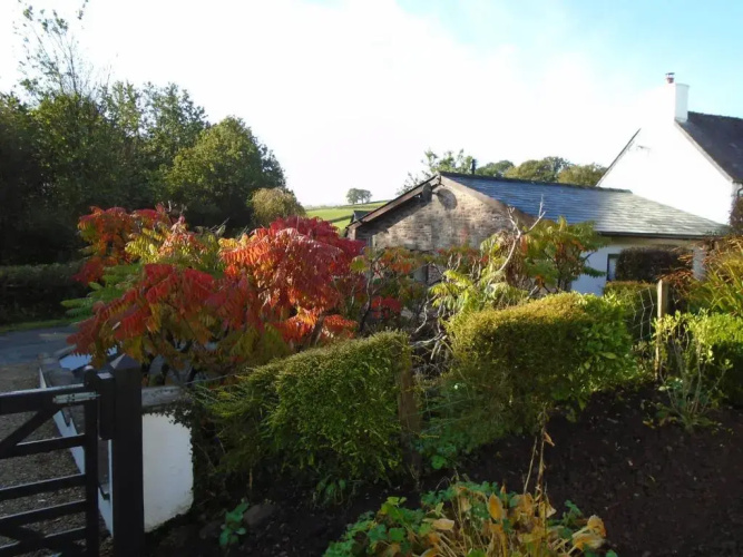 Auld Ffynnon