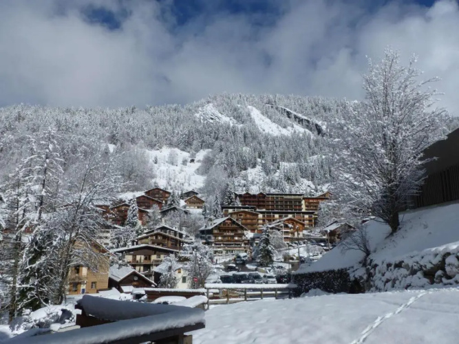 Appartement La Clusaz, 2 pièces, 4 personnes - FR-1-437-23