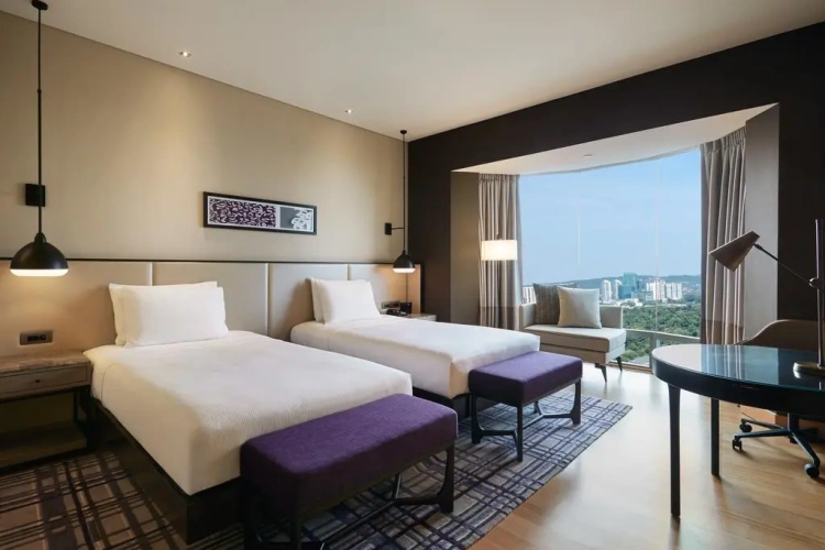 Deluxe Twin room with lake view