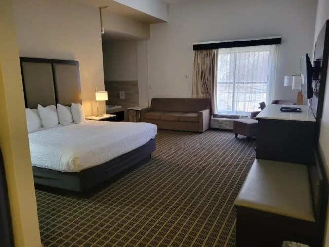 Suite