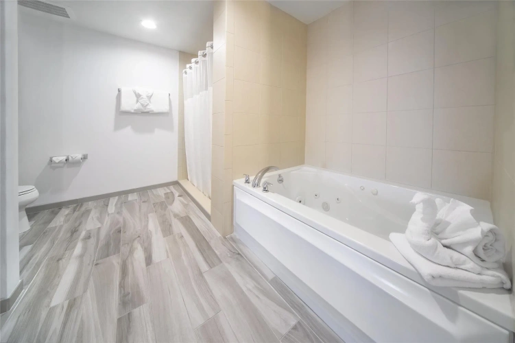 1 Bedroom Suite