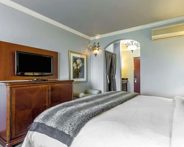 Double Suite